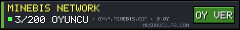 Minebis Network oy rozeti