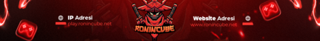 RONINCUBE banner