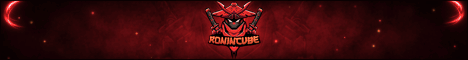 RONINCUBE banner